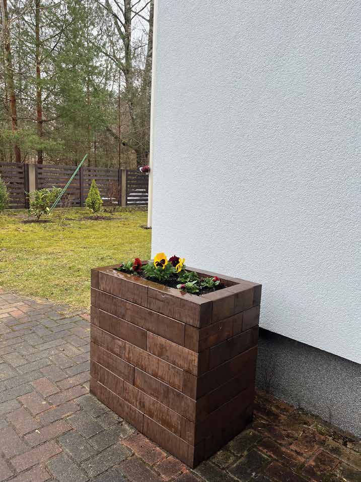 Emma's raised bed